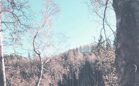 關(guān)于秋季小學(xué)教學(xué)計劃