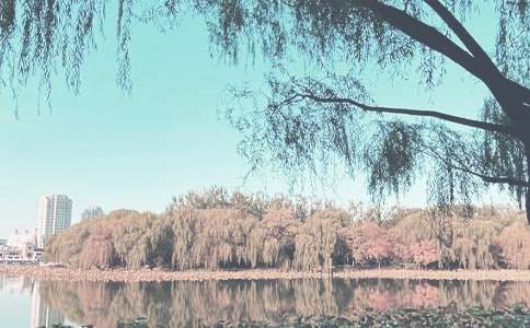 ���P(gu��n)���＾С�W(xu��)�̌W(xu��)Ӌ(j��)��