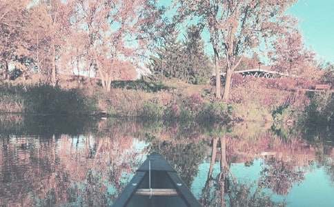 �＾�̌W(xu��)�������Y(ji��)15ƪ