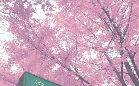 �W(xu��)ǰ�＾�W(xu��)�ڽ̌W(xu��)�������Y(ji��)