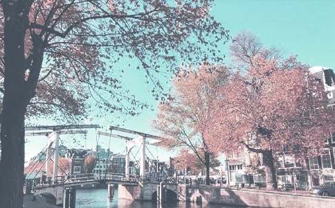 ����＾�W(xu��)�ڽ̌W(xu��)Ӌ(j��)�������x13ƪ��