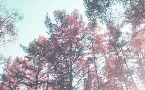 �＾�̌W(xu��)�������Y(ji��)