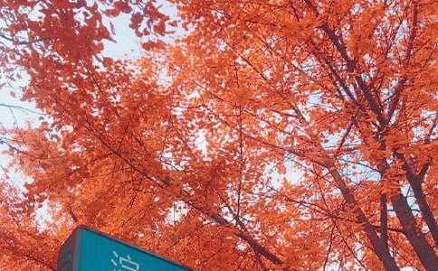 ���յĸ������ġ��᡿