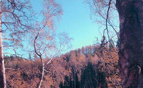 ���Տā�(l��i)���ǽ��S������700��