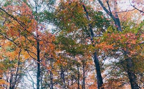 ��������600�ֺϼ���ƪ