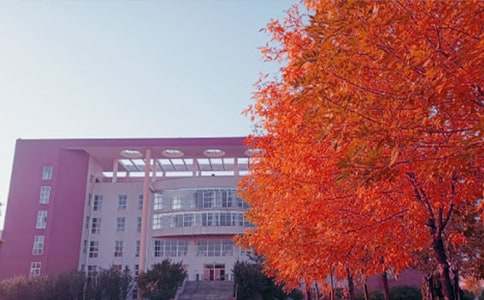 ����˽�ZС�W���ģ�ͨ��20ƪ��