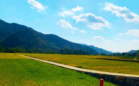 ��������300��