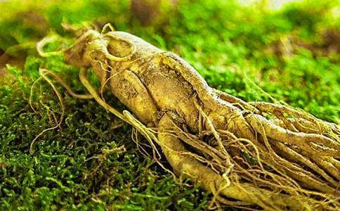 ��(g��)�˅��^�����W(xu��)��(x��)�ĵ��w��(hu��)����