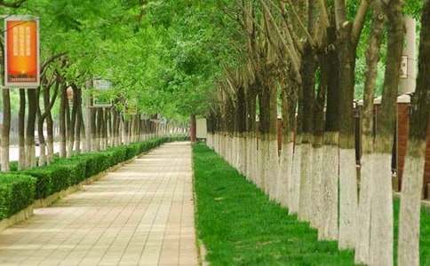 ���е��Ī�(d��)�׳�������