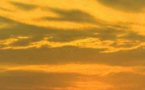 荷塘的日落作文