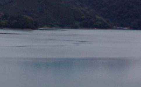 ������̶���̌W(xu��)�̰�����