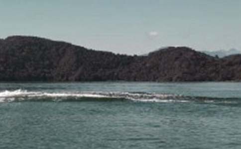 �n�ġ�����̶���ڶ��n�r��(y��u)��̌W(xu��)�O(sh��)Ӌ��ͨ��11ƪ��