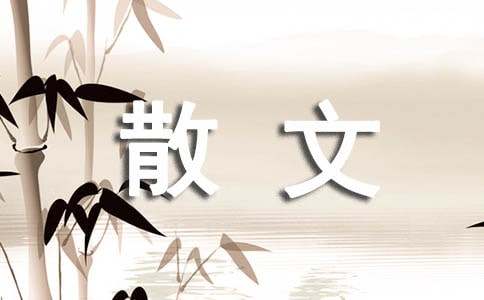 關于歲月的散文