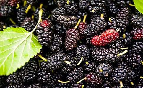 ���cɣ����Ҋ(ji��n)�r(sh��)-�P(gu��n)��ɣ�ص�����600�� �߶����ķ���