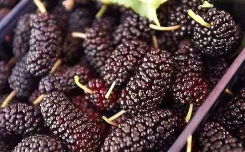 ɣ�ؘ�����ģ�ͨ��10ƪ��