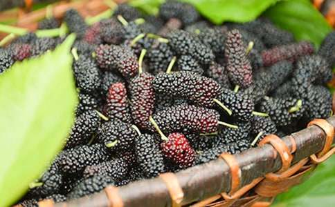 �ϼҵ�ɣ�ؘ�(sh��)��һ��(y��u)������