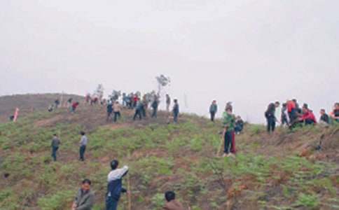 掃墓的作文600字五篇