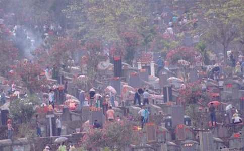 ȥ��ʿ��@��Ĺ���ģ�ͨ��26ƪ��