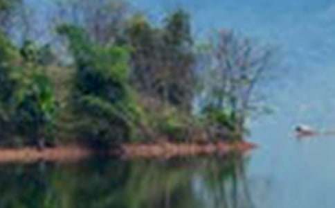 ������ɽˮ������