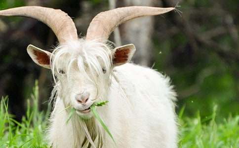 ����(sh��)�á�ɽ��������ƪ