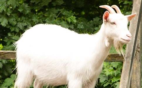 �P(gu��n)��ɽ�����ģ����x59ƪ��