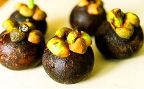 美麗的茶山竹海_800字