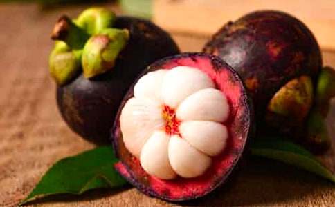 �茑ɽ����f���ģ����x23ƪ��