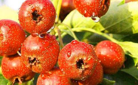 ɽ�Ƭ��ӛ������700��