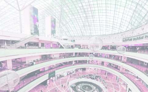 �@ʯ��؜�̈����Z240��