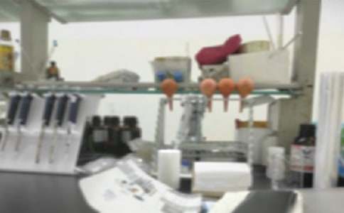 �WУ����Ұ�ȫ�Բ���r��淶�ģ����x20ƪ��