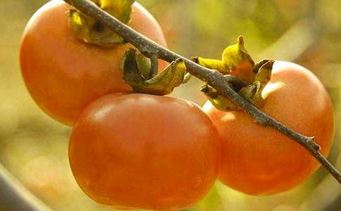 �茑��������400��