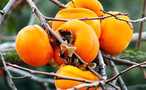 ���l(xi��ng)�����Ә�С�W(xu��)����