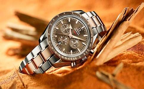 【實(shí)用】未來(lái)手表作文8篇