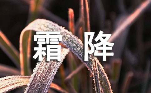 冬天霜降的作文(精選20篇)