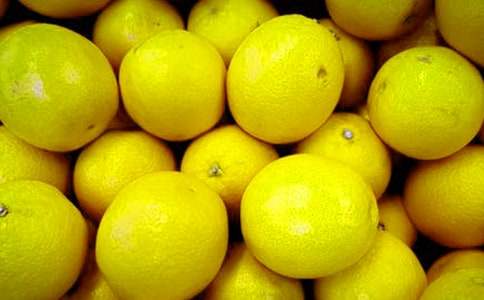 老楊的水果店-寫人記敘文800字