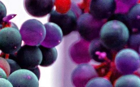 ��óԵ�ˮ������