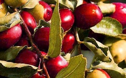 �����]��ˮ���^��������ƪ