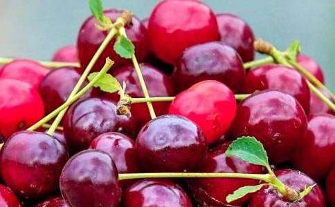 С���W���Z�Խ̰���ˮ������ȥ���С�