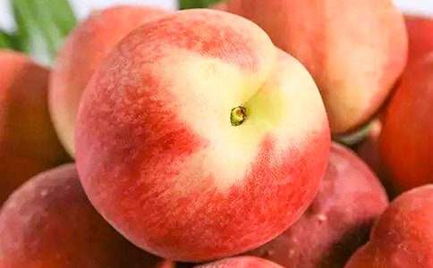 ���l(xi��ng)��ˮ����С�W(xu��)���꼉(j��)����400��