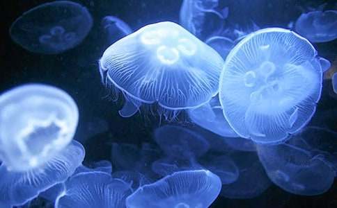 ˮĸ����600�֣�ͨ��27ƪ��