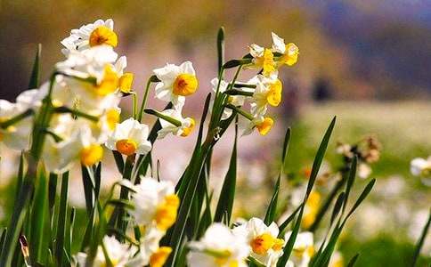 С�W(xu��)��ˮ�ɻ��^����ӛ�����x41ƪ��