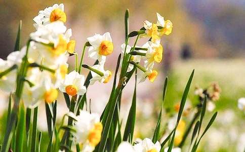 �^��ˮ�ɻ���'����(����11ƪ)