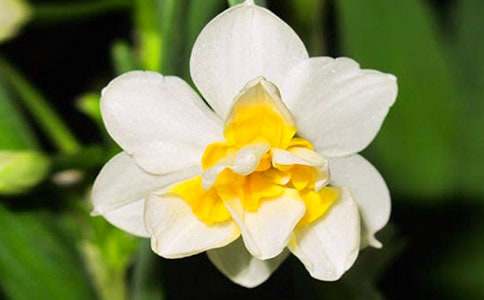 �^��ˮ�ɻ����ąR��11ƪ