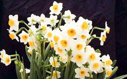 �^��ˮ�ɻ����ġ����T��