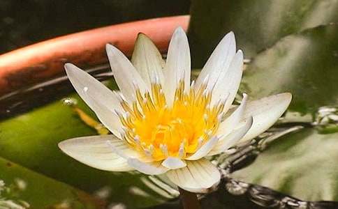 ���г�һ����750�֣��A (t��ng)˯ɏ���_(k��i)����