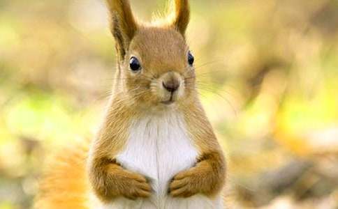 ��С�����һ������Ľ̰�����