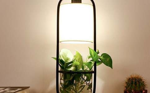 �茑�_(t��i)���ĺþ�