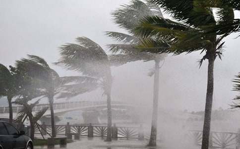 ������}�_�L(f��ng)�����������̰�