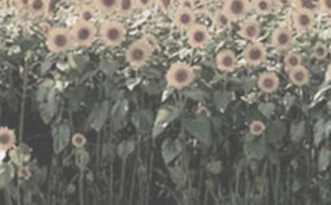 ���]��������̫ꖻ�����