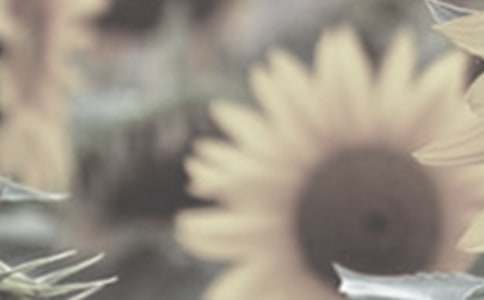 ��(y��u)��Ĕ������ģ�̫ꖻ���Ц��